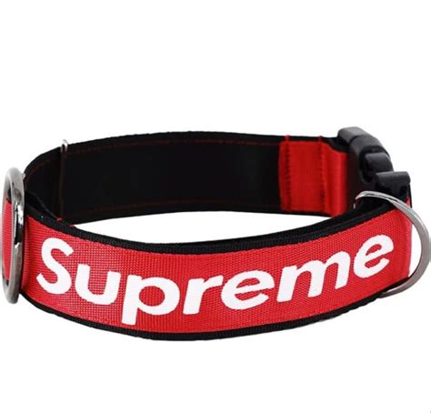 supreme dog collar.